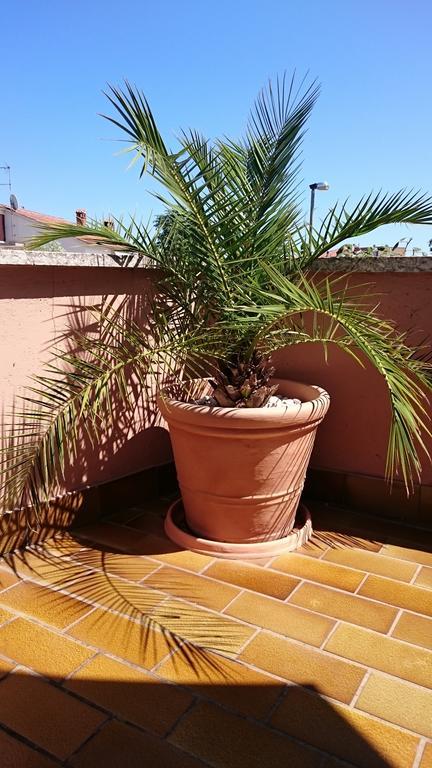 Licul Apartment Rovinj Room photo