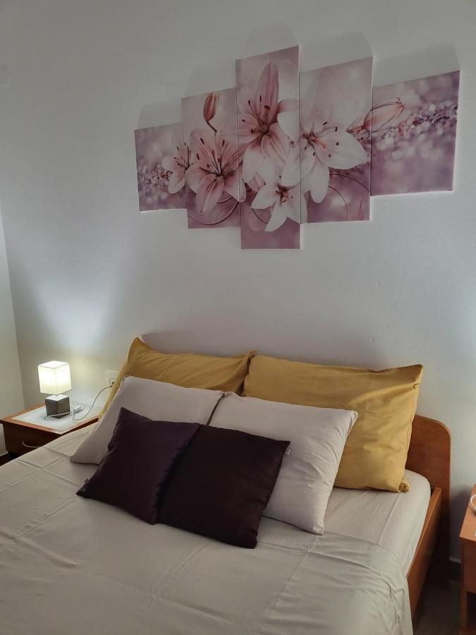 Licul Apartment Rovinj Exterior photo
